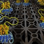 Molecular Interaction Study For New Medicines