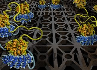 University Of Minnesota Researchers Find New Molecular Interaction Study Techniques Molecular Interaction Study For New Medicines
