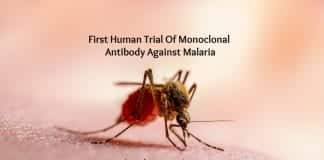 first clinical trial of Malaria antibody