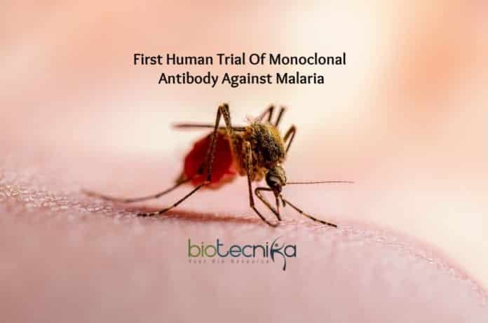 first clinical trial of Malaria antibody