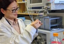 Researchers Created A New Hydrogel from Nature’s Waste Materials New hydrogel from forestry and fishing waste