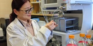 New hydrogel from forestry and fishing waste