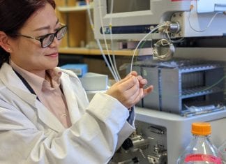 Researchers Created A New Hydrogel from Nature’s Waste Materials New hydrogel from forestry and fishing waste