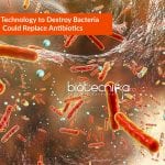 new technology to destroy bacteria