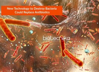 New Technology To Physically Destroy Antibiotic Resistant Bacteria new technology to destroy bacteria