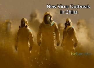 New Virus Outbreak in China – Origin, Mode of Transmission & Symptoms new viral outbreak in china