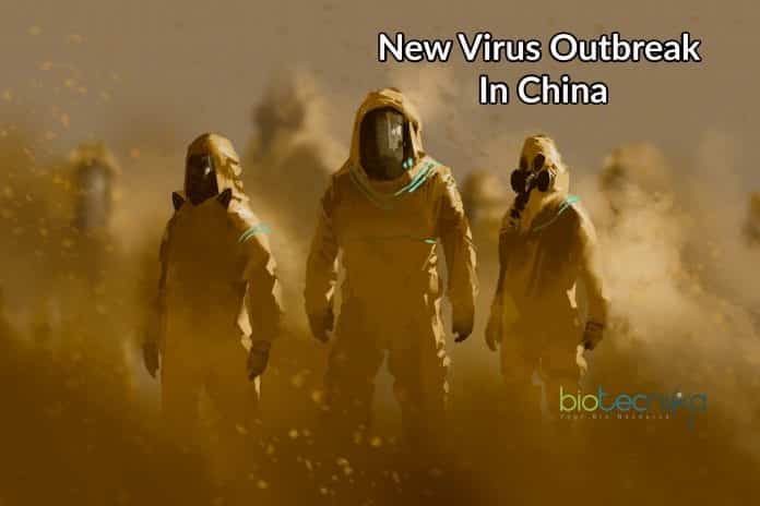 new viral outbreak in china
