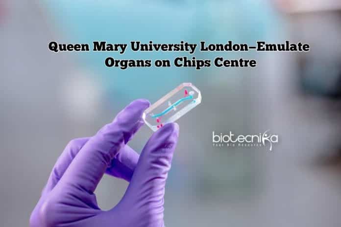organsonchip