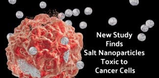 salt nanoparticles against cancer