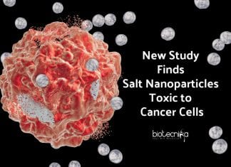 Researchers Find A New Way To Fight Cancer Cells With Salt Nano particles salt nanoparticles against cancer