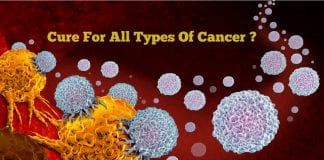 T Cells That Attack Cancer