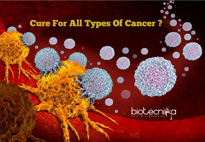 T Cells That Attack Cancer