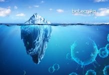 Never-Seen-Before Viruses Found Locked In Tibetan Glacier frozen viruses inside glacier