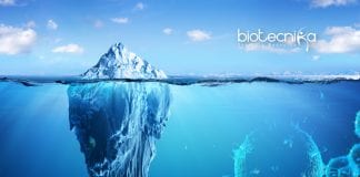 frozen viruses inside glacier