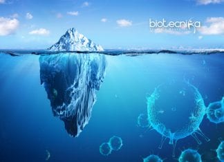 frozen viruses inside glacier