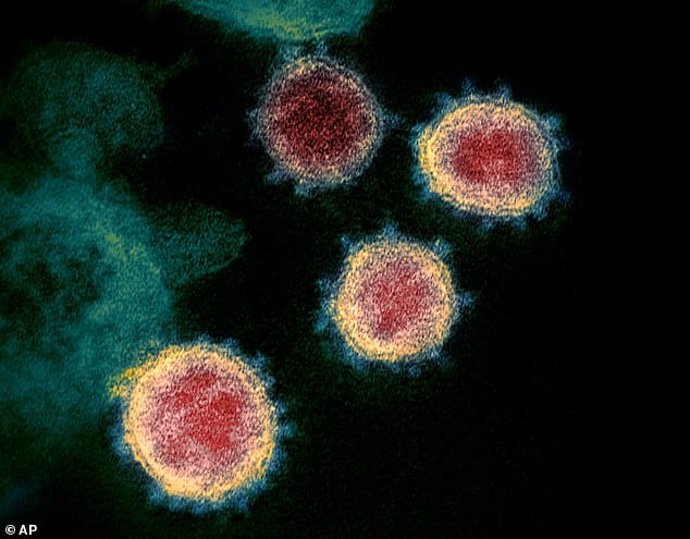 microscopic images of coronavirus