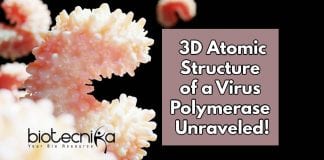 3D Atomic Structures Mapped