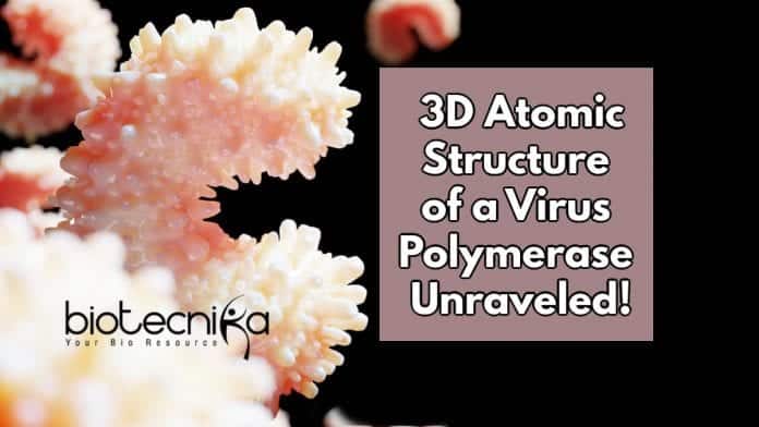 3D Atomic Structures Mapped