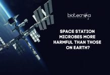 Space Station Microbes More Harmful Than Microbes On Earth? Are-Space-Station-Microbes-Harmfu