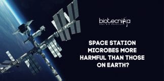 Are-Space-Station-Microbes-Harmfu