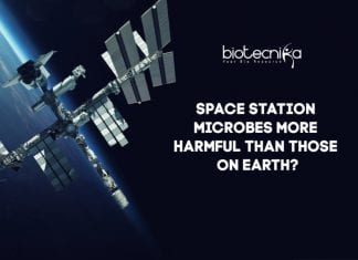 Space Station Microbes More Harmful Than Microbes On Earth? Are-Space-Station-Microbes-Harmfu