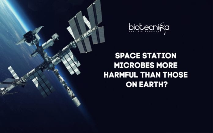 Are-Space-Station-Microbes-Harmfu