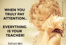 Biotecnika Times – Newsletter 05.02.2020 – KV Job Alert, Govt Sports Authority Job