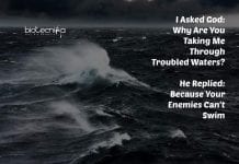 Biotecnika Times – Newsletter 07.02.2020 – KV Mumbai & WB Job, IISc R&D Training