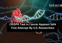 First U.S CRISPR Gene Editing Trials For Cancer Appears Safe CRISPR-Test-in-Cancer-Appears-Safe