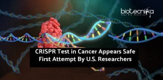 CRISPR-Test-in-Cancer-Appears-Safe