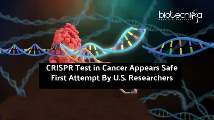 CRISPR-Test-in-Cancer-Appears-Safe
