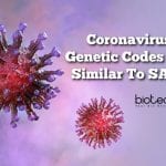 Wuhan’s Coronavirus Genetic Codes 80% Similar To SARS – Study Finds Coronavirus-80-similar-to-SARS