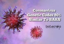 Wuhan’s Coronavirus Genetic Codes 80% Similar To SARS – Study Finds Coronavirus-80-similar-to-SARS