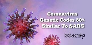 Coronavirus-80-similar-to-SARS
