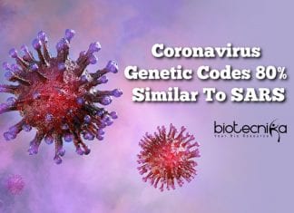 Coronavirus-80-similar-to-SARS