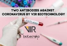 Two Antibodies Against Coronavirus Discovered By VIR Biotechnology two antibodies against new coronavirus
