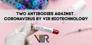 two antibodies against new coronavirus