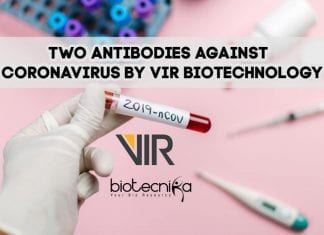 Two Antibodies Against Coronavirus Discovered By VIR Biotechnology two antibodies against new coronavirus