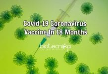 Coronavirus Vaccine Could be Available In 18 Months – WHO Coronavirus vaccine in 18 months