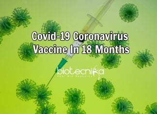 Coronavirus Vaccine Could be Available In 18 Months – WHO Coronavirus vaccine in 18 months