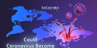 Could Coronavirus Become Pandemic?