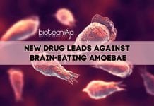 Researchers One-Step Closer In Fighting Brain-Eating Amoebae Drug Against Brain-Eating Amoebae