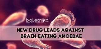 Drug Against Brain-Eating Amoebae