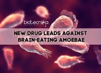 Researchers One-Step Closer In Fighting Brain-Eating Amoebae Drug Against Brain-Eating Amoebae