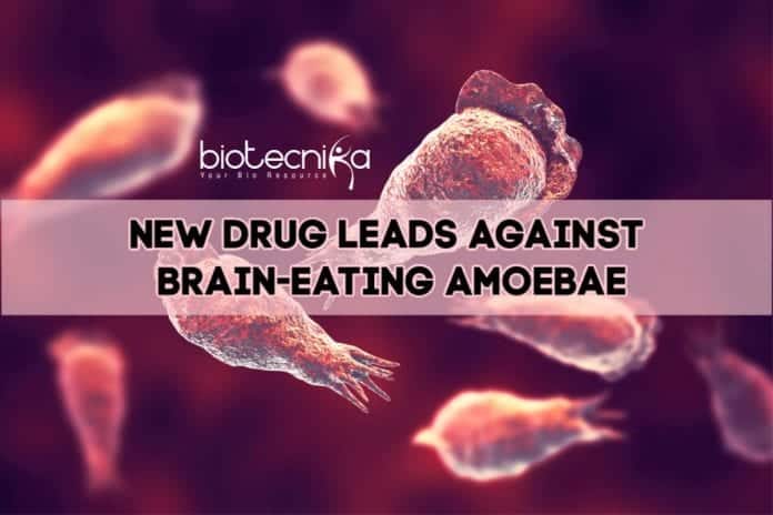 Drug Against Brain-Eating Amoebae
