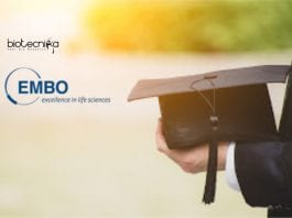 EMBO Young Investigator Programme