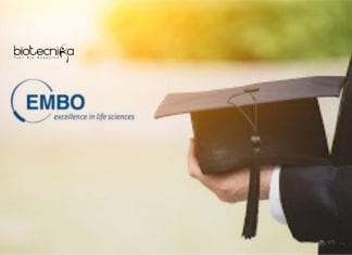 EMBO Young Investigator Programme