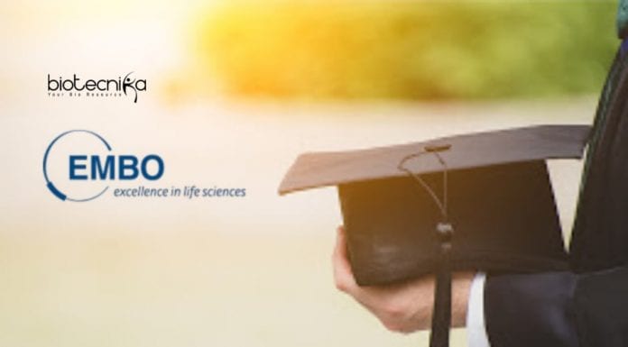 EMBO Young Investigator Programme