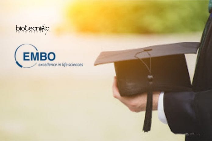 EMBO Young Investigator Programme