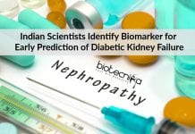 Indian Scientists Identify Biomarker For Early Prediction Of Diabetic Kidney Failure Early Prediction of Diabetic Kidney Failure
